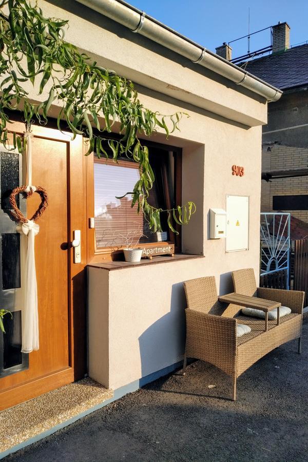 Apartment Vaclavov Decin Luaran gambar